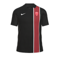 Goleiro