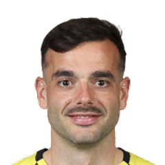 Nikola Mileusnić