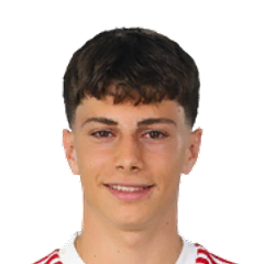 Ali Demirbilek