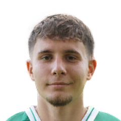 Altin Ibisi