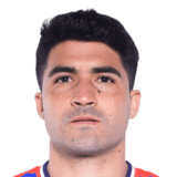 Nicolás Ibáñez