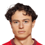 Leo Cornic