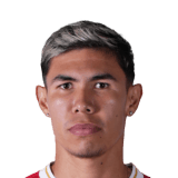 Nicolás Hernández