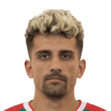 Romain Rodrigues Correia