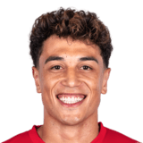 Vítor Carvalho Vieira