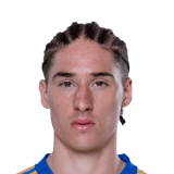 Marcelo Flores