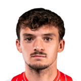 Guilherme Borges Guedes