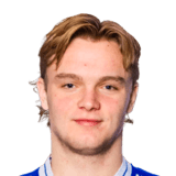 Håkon Krogelien