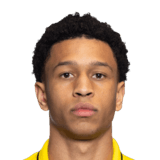 Daniel Bassi