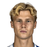 Theo Bergvall