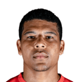 Vinícius Lopes da Silva