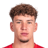 Diogo Martins Travassos