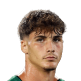 Davide Renzetti