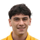 Diego Pugno
