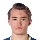 Ludvig Arvidsson