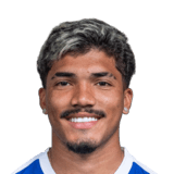 William Gomes C. Santos