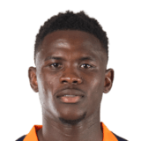Wilfried Ndollo Bille