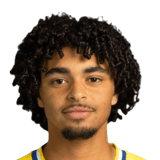 Tiago Araújo Brito