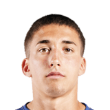 Nicolás Barros Schelotto
