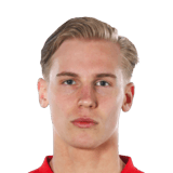 Rasmus Bergvall
