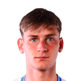 Luca Feler