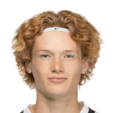 Niklas Varelmann