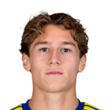 Ryan van de Pavert