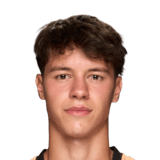 Nikola Sarcevic