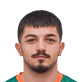 Şahin Dik